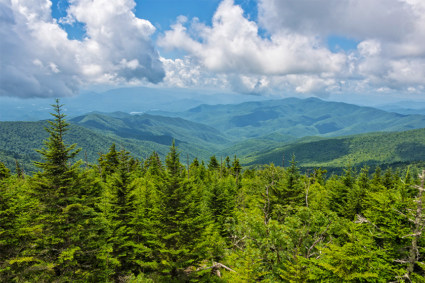 clingmansdome