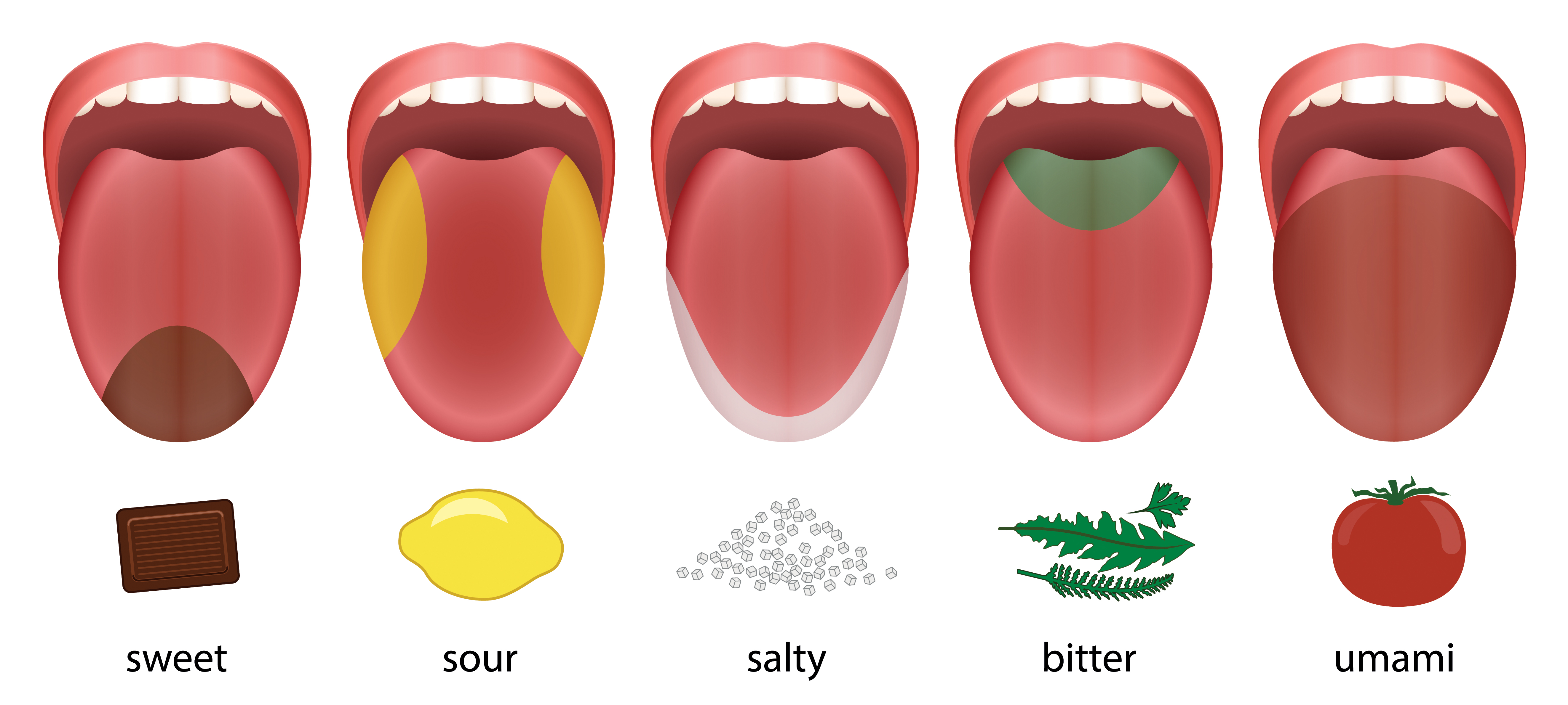 Guess the tongue