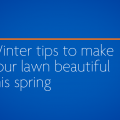 Winter tips to make your lawn beautiful this spring