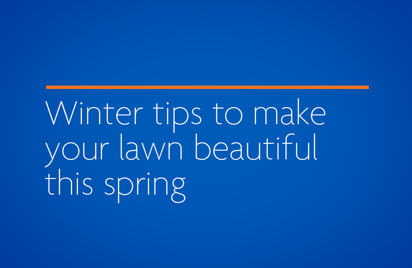 Winter tips to make your lawn beautiful this spring
