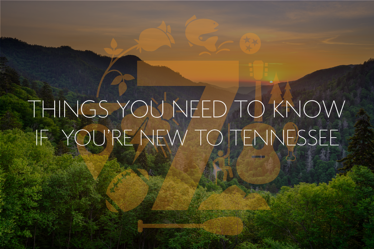 7 Things You Need to Know if You're New to Tennessee