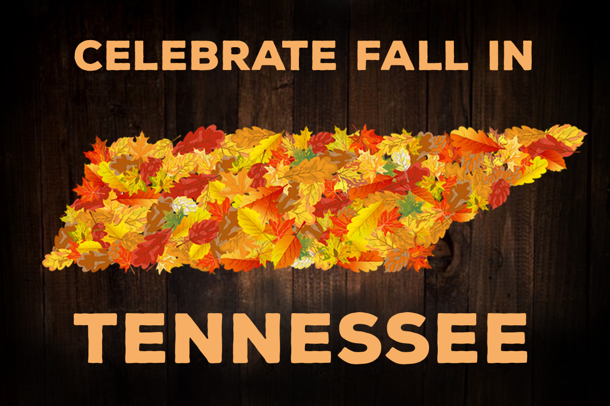 Celebrate Fall in Tennessee