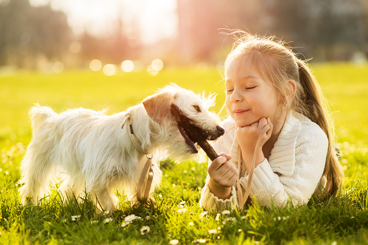 young girl playing with a dog