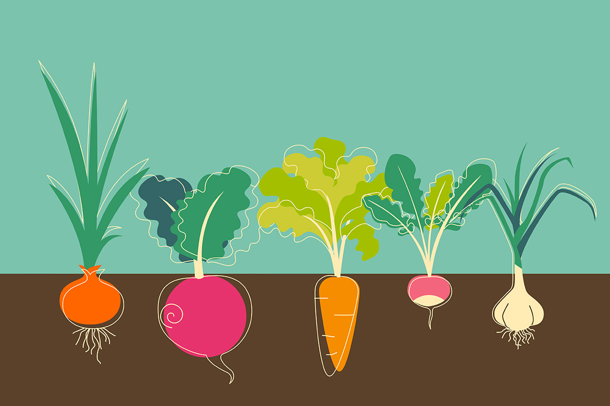 Vegetable Gardening in Tennessee | BlueCross BlueShield of Tennessee