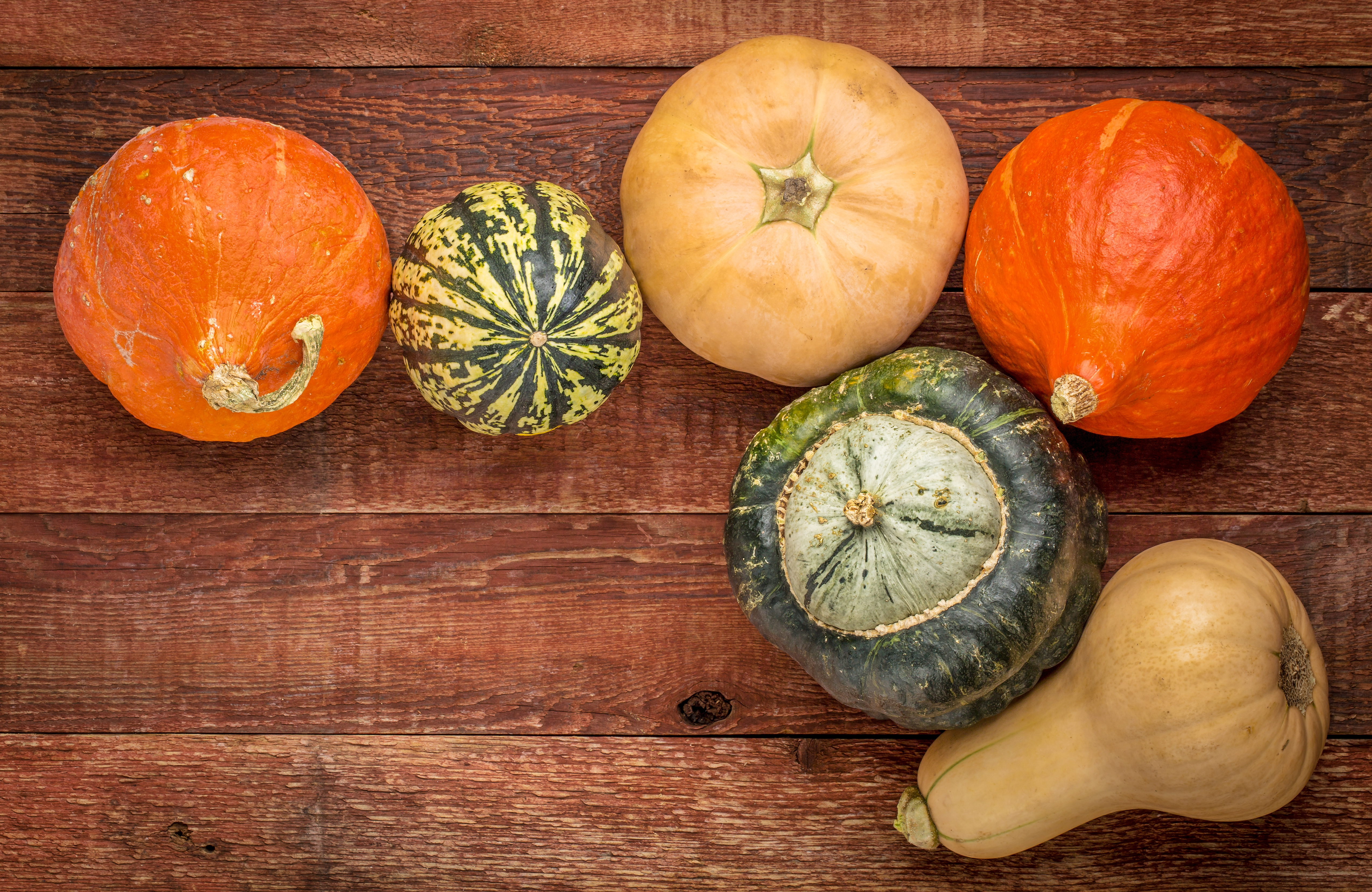 a variety of winter squash fruits on a rustic wooden table with a copy space, fall holiday background