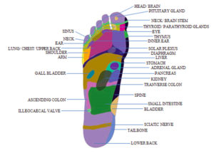 Reflexology 101 - WellTuned By BCBST