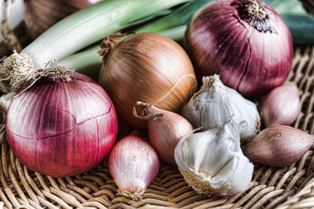 Image of Onions, garlic, and chives