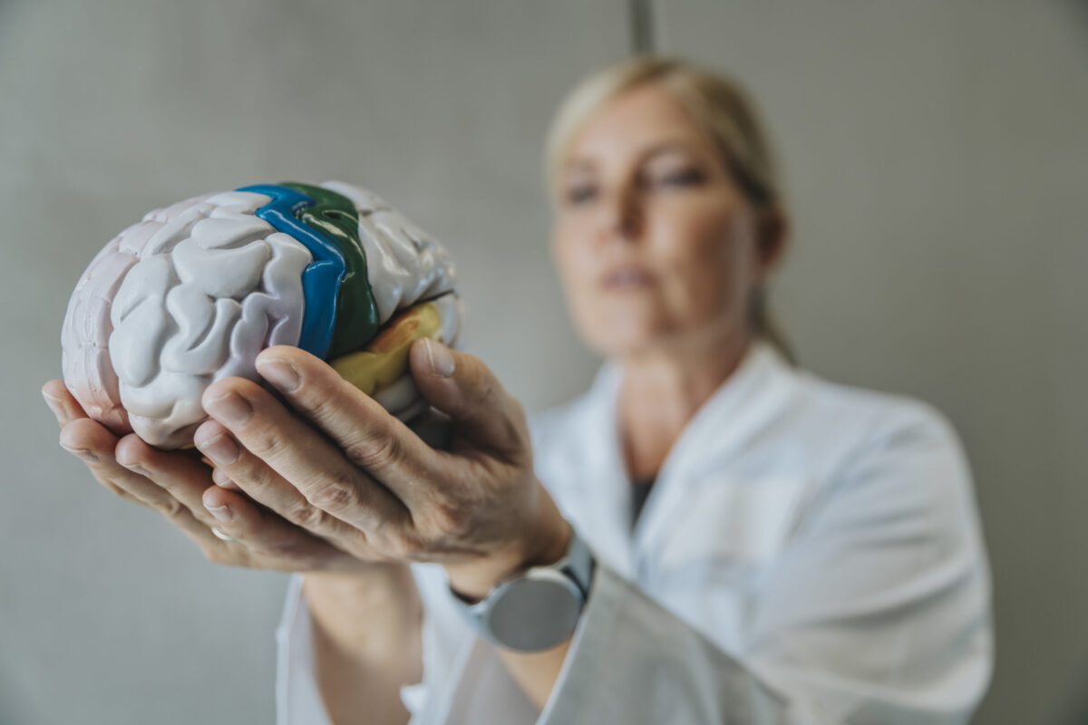 Medical expert holding artificial human brain while standing at clinic