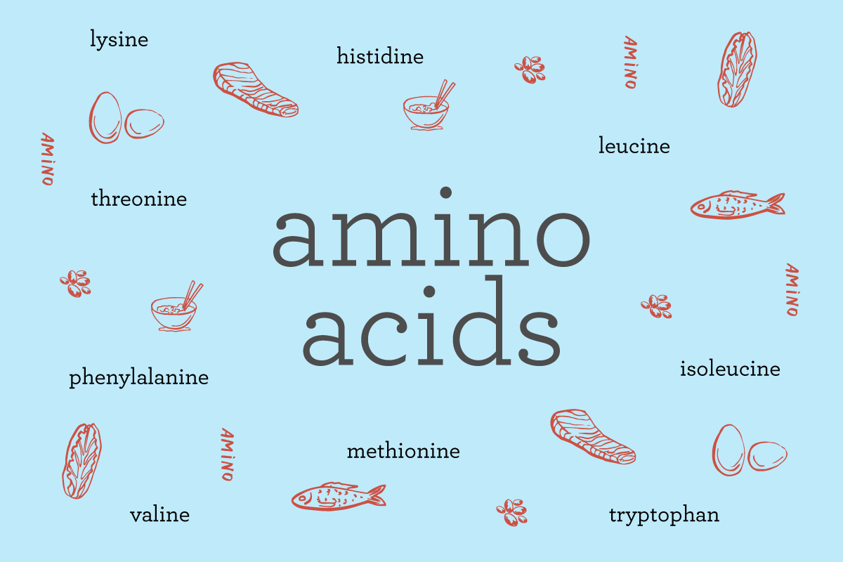 What are amino acids? Exploring the 9 essential amino acids + the foods  that have them - WellTuned by BCBST