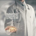Doctor holding in hand Immune System
