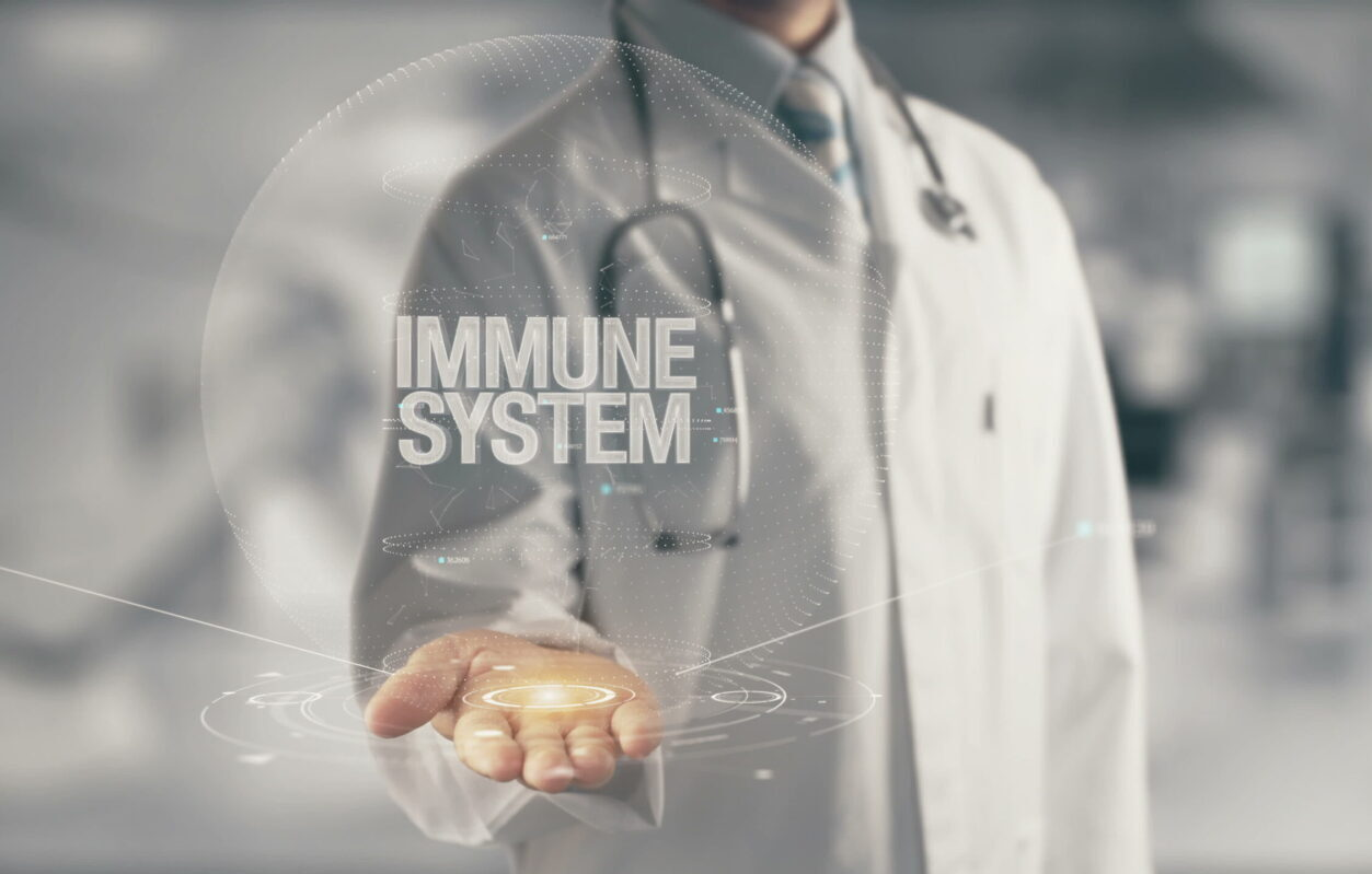 Doctor holding in hand Immune System