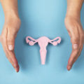 Female reproductive system made of paper and hands isolated on blue background