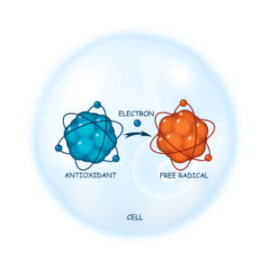 Antioxidant working principle abstract vector representation, illustration of a process of electron donation to a free radical molecule on a cell as a background, healthcare template