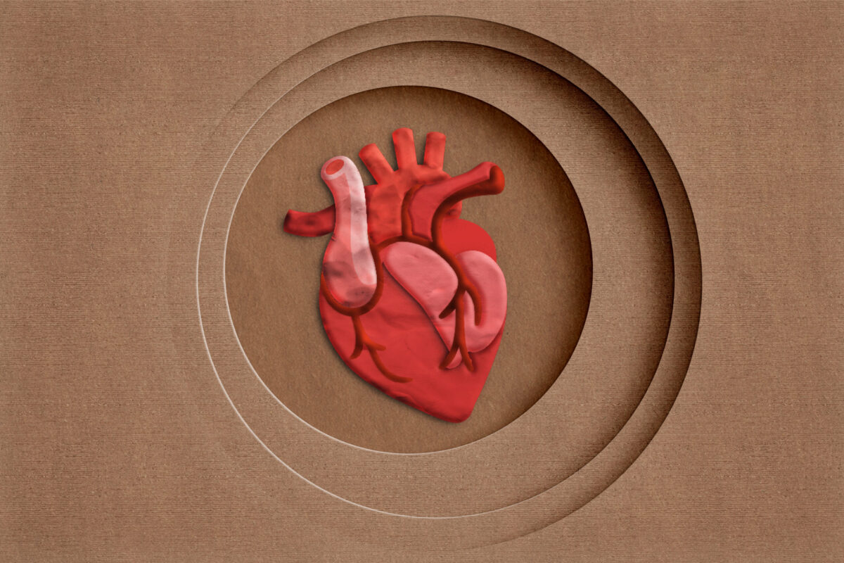anatomical heart made of plasticine