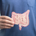 Man holding decorative model intestine. Close up