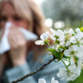 Woman sneezing and blowing nose outdoors at springtime.