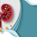 Illustration of kidney with kidney stones