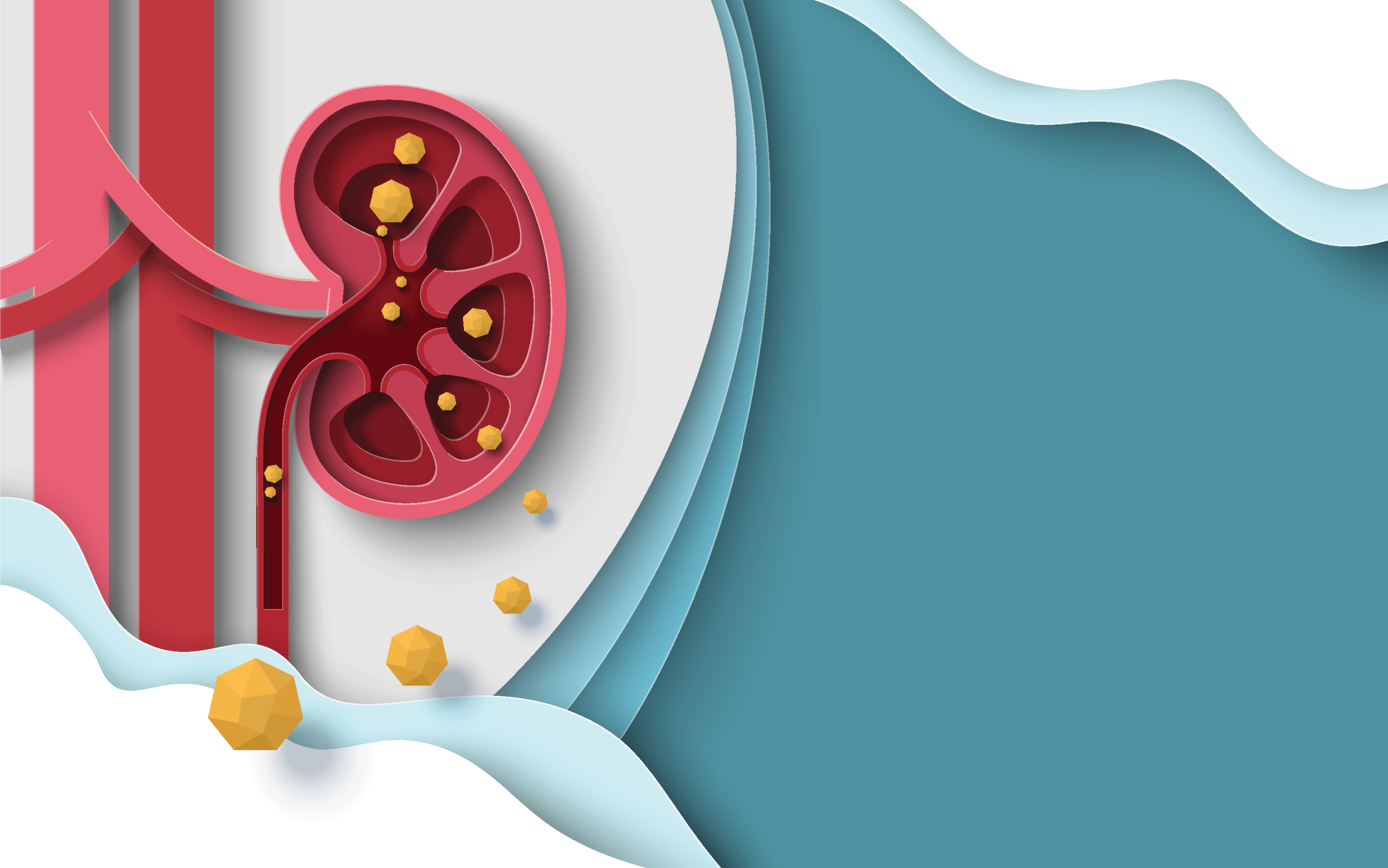 How to prevent kidney stones this summer