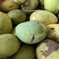 Pile of tropical fruit for healthy eating