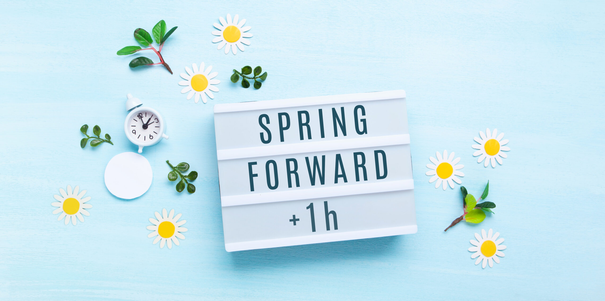Summer back concept. White Alarm Clock and Spring Daisy Flowers on Blue Background