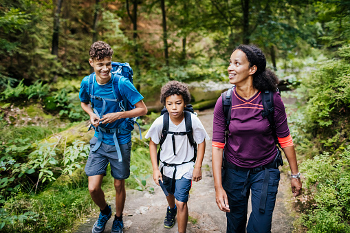 A family of three out walking a woodland trail together.
