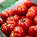 A close-up shot of a crate filled with bright red tomatoes.